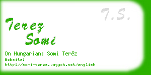 terez somi business card